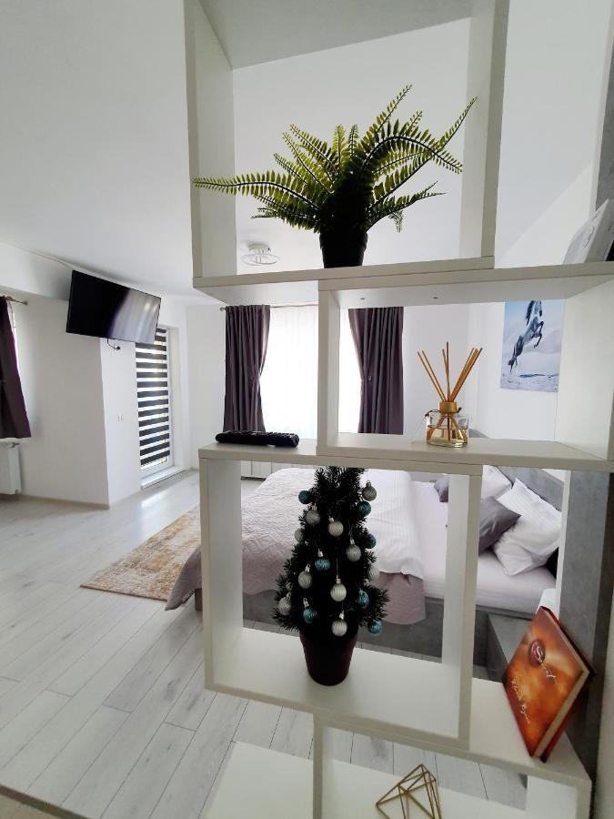 Ferienwohnung Fresh Mountain Brașov Exterior foto